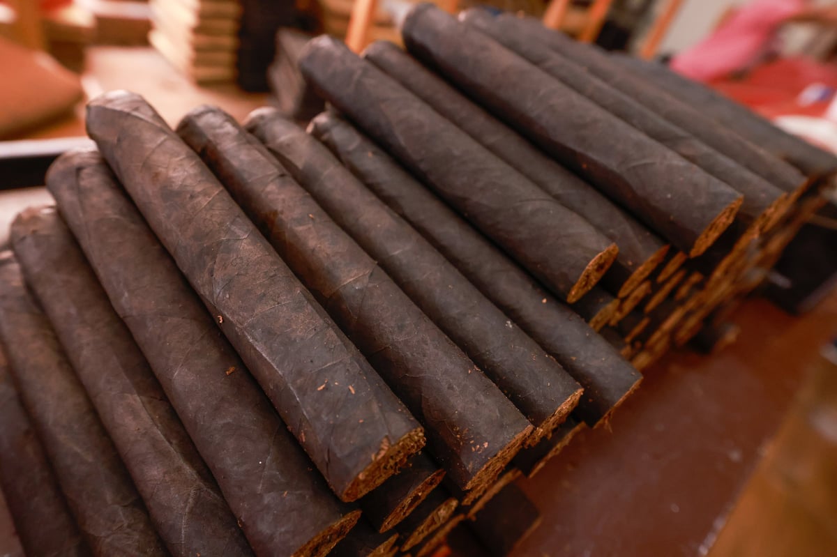 Premium cigars stored in a luxury humidor box